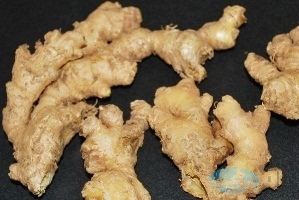 Ginger2-web.jpg